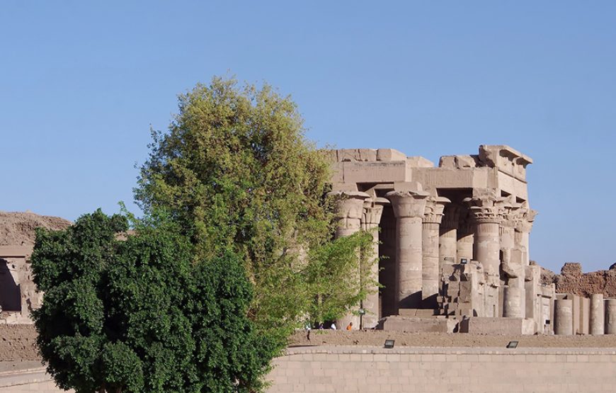 Day tour to Kom Ombo and Edfu from Aswan