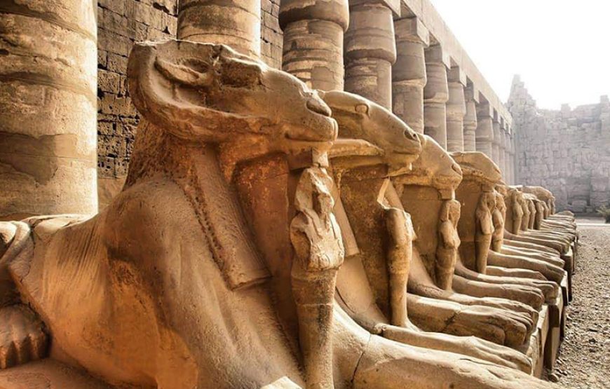 Day tour Luxor west and east
