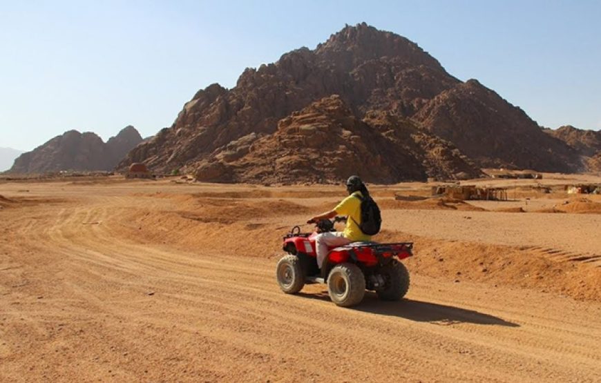 Morning Quad Bike Desert Safari