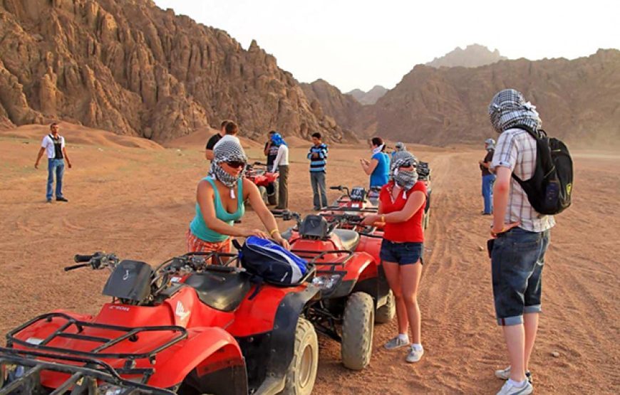 Morning Quad Bike Desert Safari