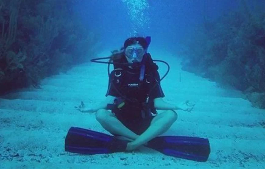 Snorkeling Trip Dolphin Reef
