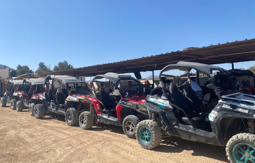 Morning Quad Bike Desert Safari
