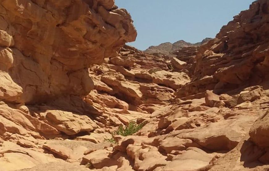 From sharm elshiekh Safari Trip To dahab & Colored Canyon At Nuweiba