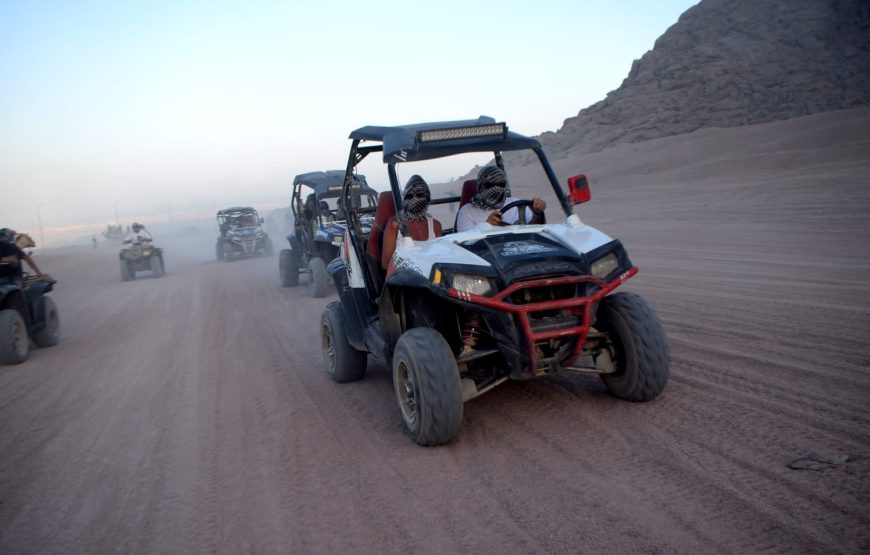 Morning Quad Bike Desert Safari