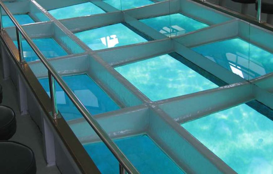 Glass Bottom Boat Cruise And Coral Reef Viewing