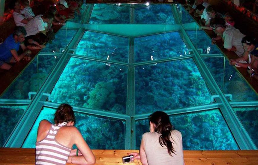 Glass Bottom Boat Cruise And Coral Reef Viewing