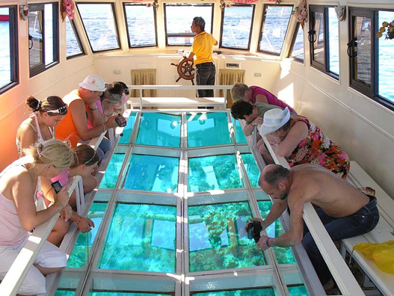 Glass Bottom Boat Cruise And Coral Reef Viewing