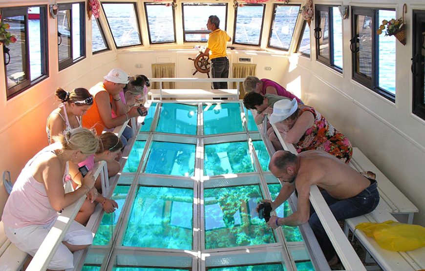 Glass Bottom Boat Cruise And Coral Reef Viewing