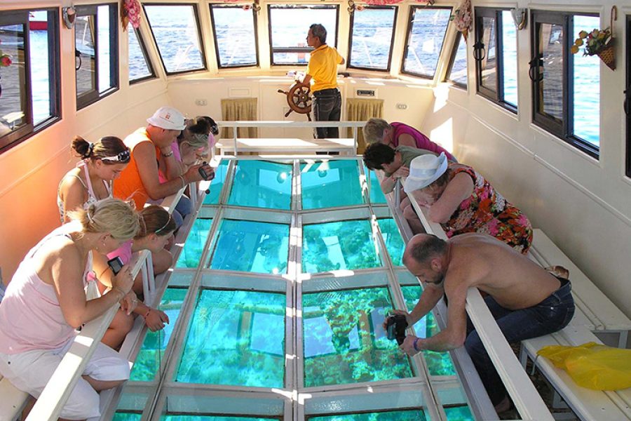 Glass Bottom Boat Cruise And Coral Reef Viewing