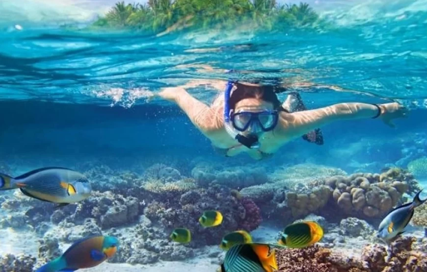 Ras Muhammad National Park: Diving & snorkeling Boat Trip