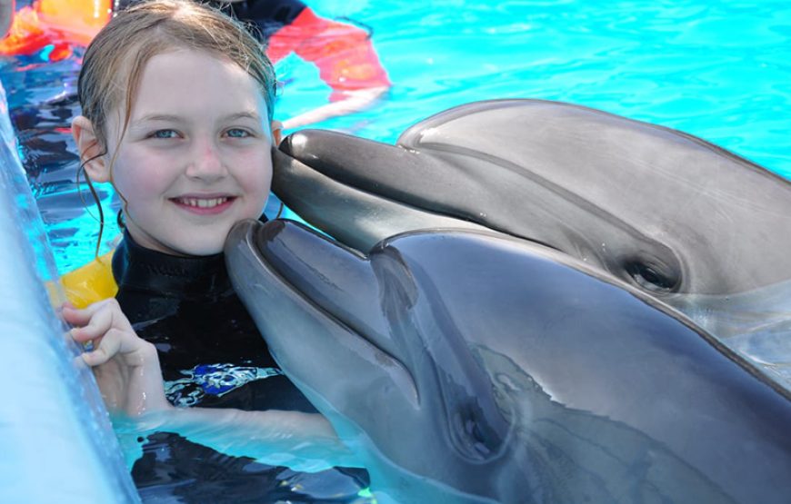 Dolphin Show Tour