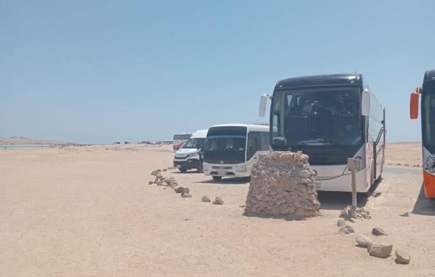 Ras Muhammad National Park: Snorkeling Tour by bus