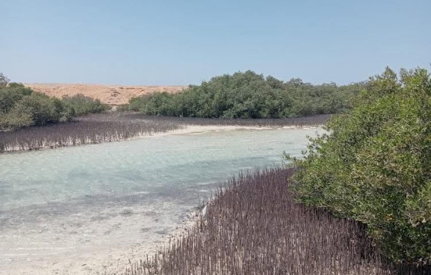 Ras Muhammad National Park: Snorkeling Tour by bus