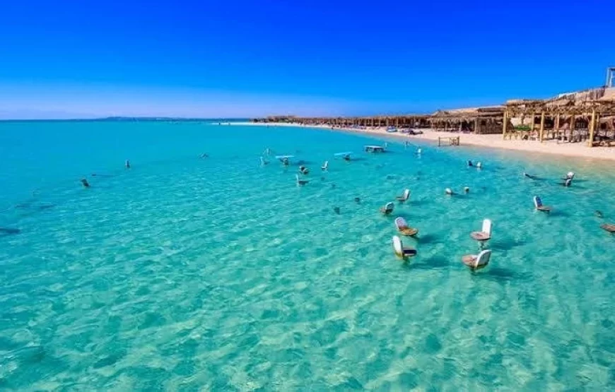 Orange Bay Island with Snorkeling & Diving Adventure