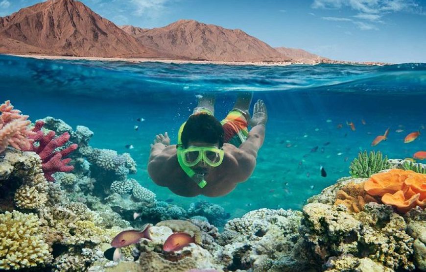 Hula Hula Island Full-Day Snorkeling Tour