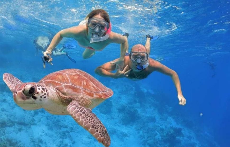 Hula Hula Island Full-Day Snorkeling Tour