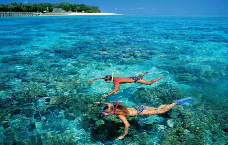 Hula Hula Island Full-Day Snorkeling Tour