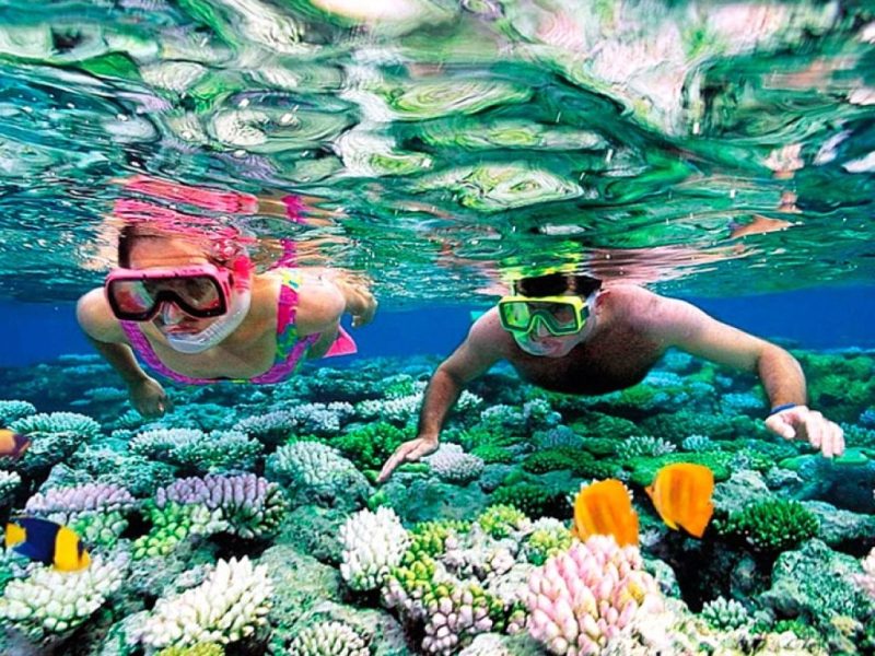 Hula Hula Island Full-Day Snorkeling Tour