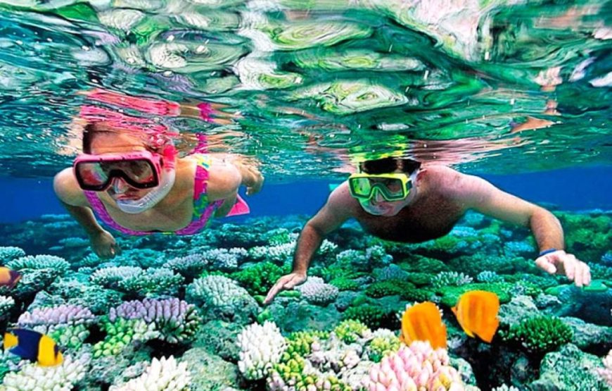 Hula Hula Island Full-Day Snorkeling Tour