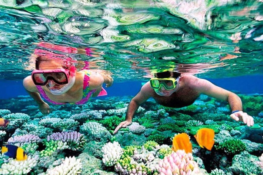 Hula Hula Island Full-Day Snorkeling Tour