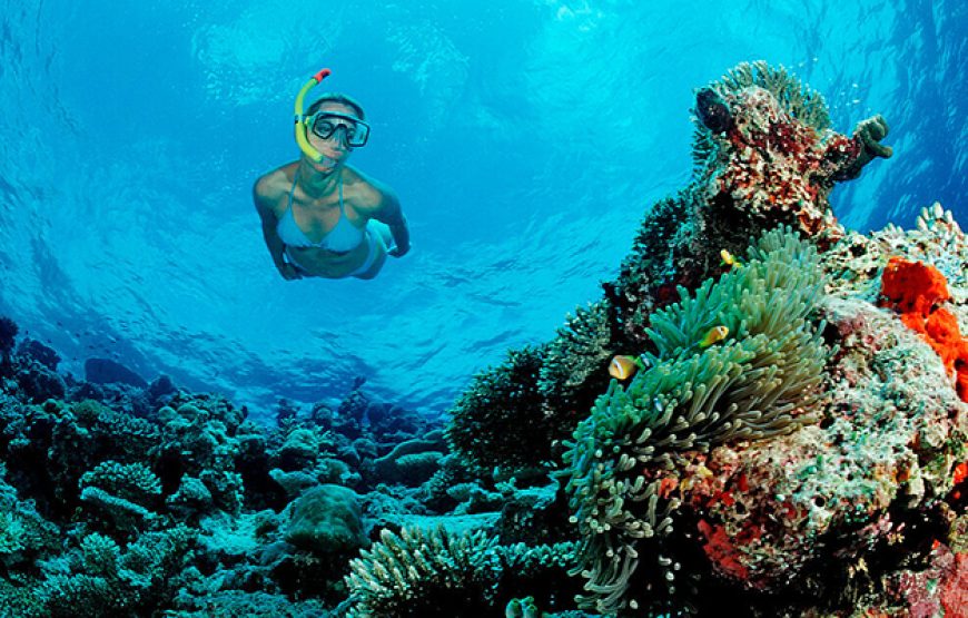 Hula Hula Island Full-Day Snorkeling Tour